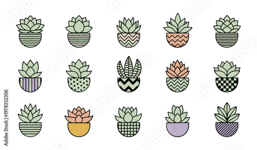 Collection of succulent plants in various patterned pots with colorful succulents patterns green