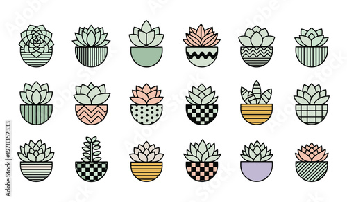 Collection of colorful illustrated succulent plants in various patterned pots succulents green pink