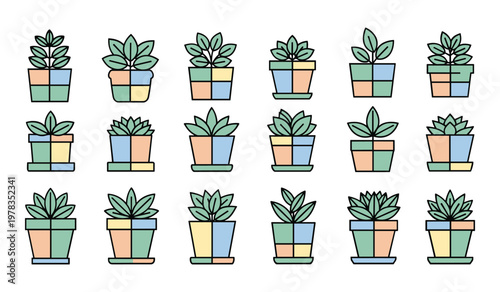 Collection of colorful potted succulents in various planters plants green