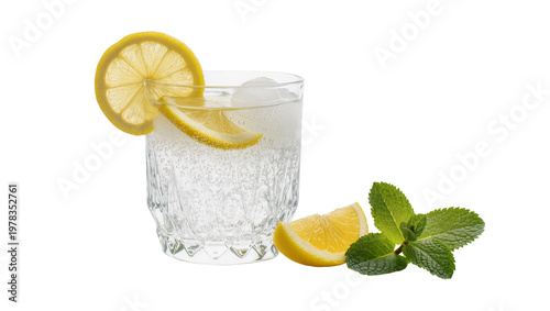 Cuadro en lienzo Clear glass of sparkling water with lemon slices and mint, isolated on transpare