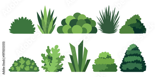 Set of various green garden bushes and shrubs