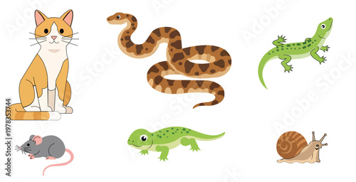 Collection of various cute cartoon animals including cat snake lizard and snail