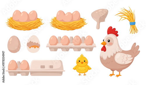 Chicken eggs vector set with hen chick nest tray and egg box cute farm illustration