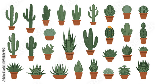 A large and diverse set of flat design vector illustrations of various cacti and succulent plants in brown terracotta pots.