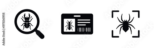 Minimalist black icon set for insect identification featuring a beetle under a magnifying glass, an ant ID card, and a spider in a scanning frame.