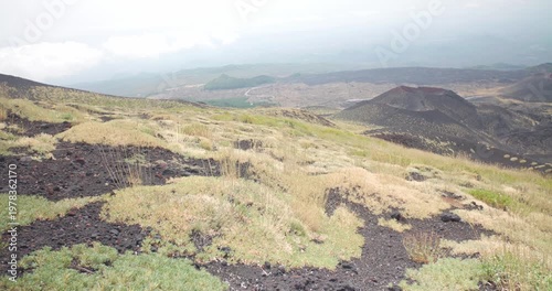 Stunning nature around Etna Volcano, valley with dark soil and dry plants, 4k