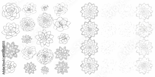 Collection of delicate grayscale floral sketches arranged on a white background