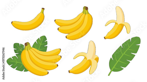 Bananas of different shapes and sizes with green leaves on a white background