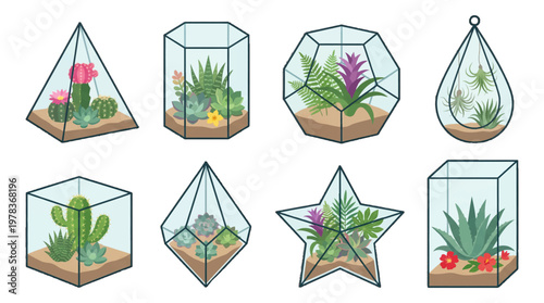 Different designs of glass terrariums with various plants arranged in different shapes and styles at a garden store
