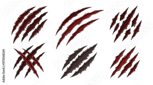 Detailed marks show signs of claws leaving sharp impressions on a surface by a wild animal during the night