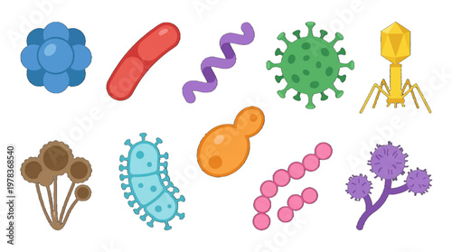Different types of microorganisms shown in a simple design with bright colors
