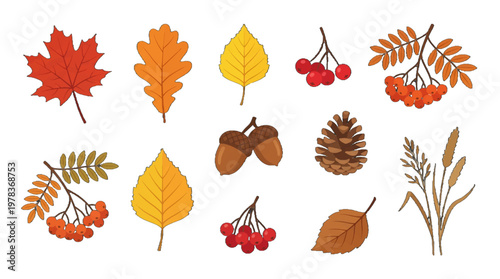 Colorful fall leaves and autumn elements arranged in a simple layout for seasonal decoration or project