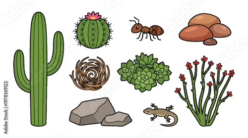 Cactus and desert life in a simple drawing showing plants and animals found in a typical desert environment