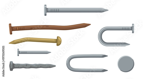 Different types of nails and fasteners used in construction and woodworking displayed on a simple background for identification