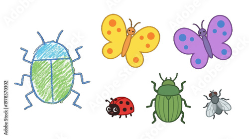 Drawing of colorful insects and butterflies on a white background with simple designs made for a children's activity or educational purpose