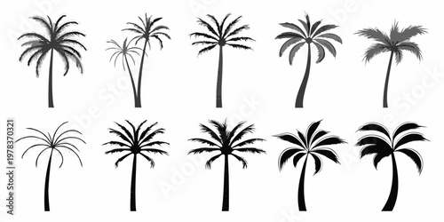 Collection of various black silhouette palm trees in different shapes