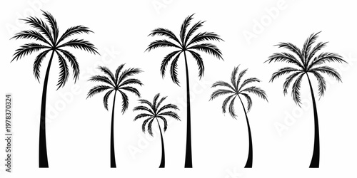 Silhouetted palm trees against a stark white background tropical scene