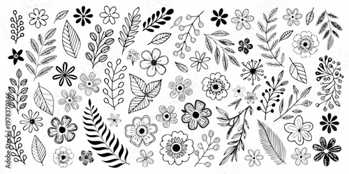 Hand drawn floral collection with various botanical elements in black ink