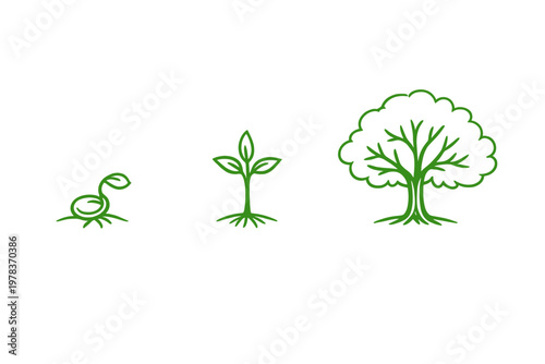 A minimalist green line art illustration showing the three stages of