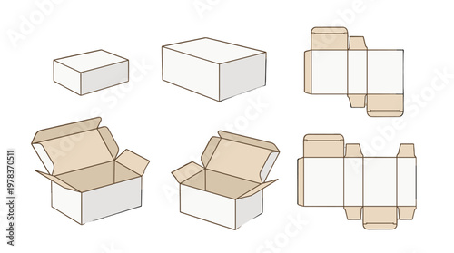 Different types of cardboard boxes for packaging and storage shown in various views and open positions