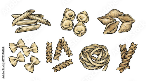 Different types of pasta arranged on a white background show various shapes and textures as part of Italian cuisine