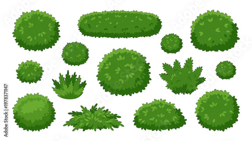 Different types of green bushes and shrubs arranged in a pattern on a white background