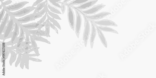 Delicate silver leaves cascade downwards in a minimalist composition