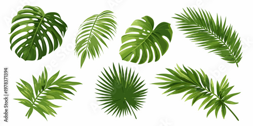 A collection of vibrant green tropical monstera and palm leaves