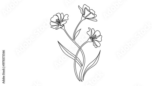 A minimalist line drawing of flowers. Continuous line style. Hand drawn. Line art. Vector design. illustration