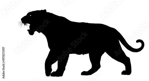 Black panther, wild animal, fierce predator, silhouette icon