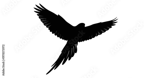 Black bird, flying bird, bird silhouette, eagle icon, wildlife symbol
