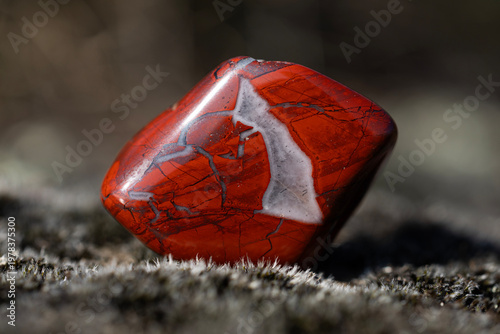 Εκτύπωση καμβά Polished red jasper stone macro on natural background
