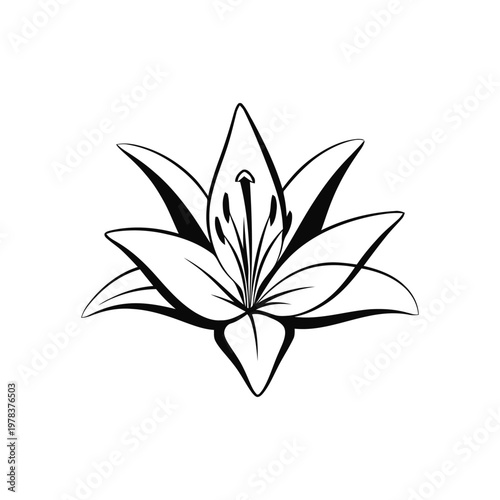 Lily flower illustration features a symmetrical bloom with sharp petals that serves as a versatile graphic icon for floral design themes.