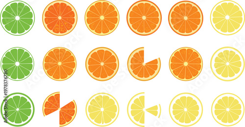 Citrus slice collection vector set featuring lime orange and lemon round slices and wedges isolated on transparent background for fresh food design