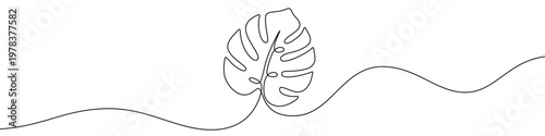 Illustration of a monstera tropical leaf, made in one continuous line. Minimalist exotic plant foliage drawing with a black stroke on a white background, vector illustration.