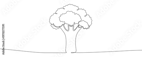 Illustration of a healthy broccoli vegetable, made in one continuous line. Minimalist green superfood drawing with a black stroke on a white background, vector illustration.
