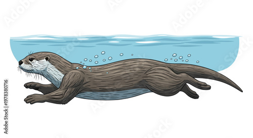 River Otter Swimming Underwater with Water Bubbles Illustration on White Background