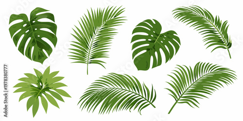 A collection of vibrant green tropical leaves against a white background
