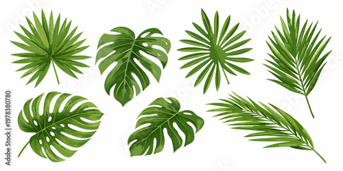 Collection of vibrant tropical leaves against a clean white background