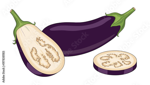 Hand drawn illustration of fresh purple eggplants including a whole fruit, a half, and a single slice showing the inner flesh.