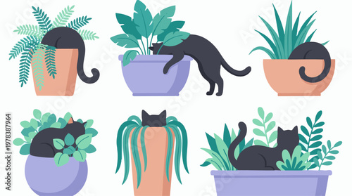 Collection of playful black cats hiding and interacting with houseplants