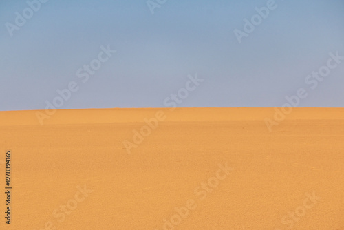 Nature of Sahara Desert, Mauritania, West Africa