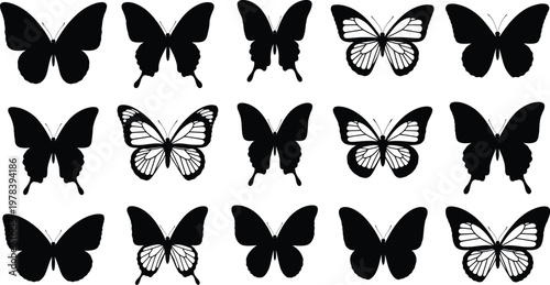 Collection of black and white butterfly illustrations in various wing positions