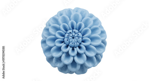 Close-up view of a pale blue dahlia flower with intricate petals, isolated on a white background