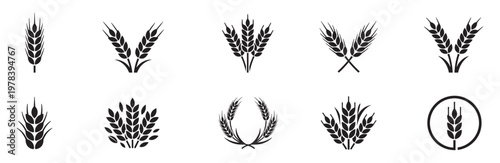 Wheat ear icon set. Grain spike agriculture symbols, cereal crop silhouettes, harvest farming elements, organic food farm. Vector Illustration. EPS 10