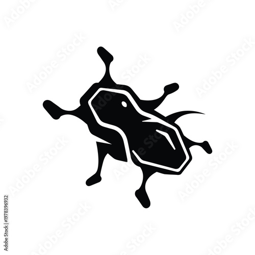 Black and white beetle insect.