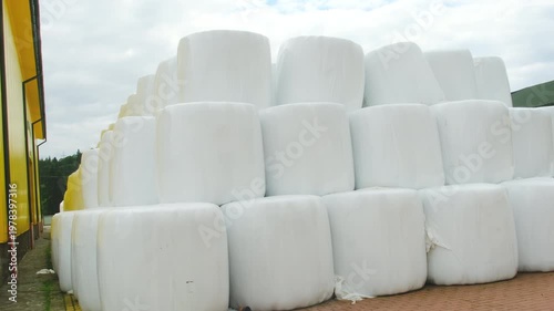 Huge plastic bales of silage arranged in stack at farm storage. Haylage supplies for livestock feeding near yellow building. Agriculture