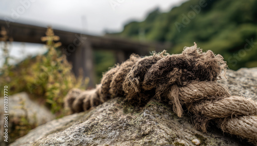 close-up of an old rope on a rock with a bridge in the background, and a forest lake in the background.