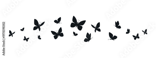 Butterflies silhouette flying on white background.