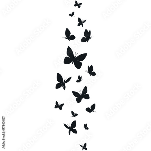 Butterflies silhouette flying on white background.